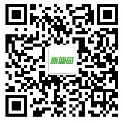 派迪茵體育